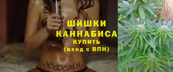 ПСИЛОЦИБИНОВЫЕ ГРИБЫ Балабаново