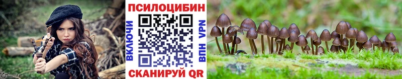 Псилоцибиновые грибы GOLDEN TEACHER Томмот
