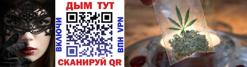 Канабис индика  Томмот 
